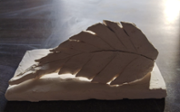 img0005PSaRiera_CS.png