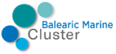 Balearic Marine Cluster i el Consell Social de la UIB impulsen una enquesta per a valorar la creació d'una Facultat de Nàutica a les Balears